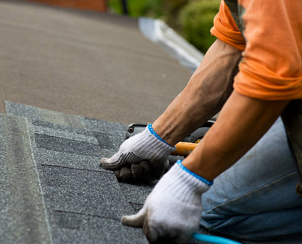 Best Storm Damage Roof Repair  in Mount Jackson, VA
